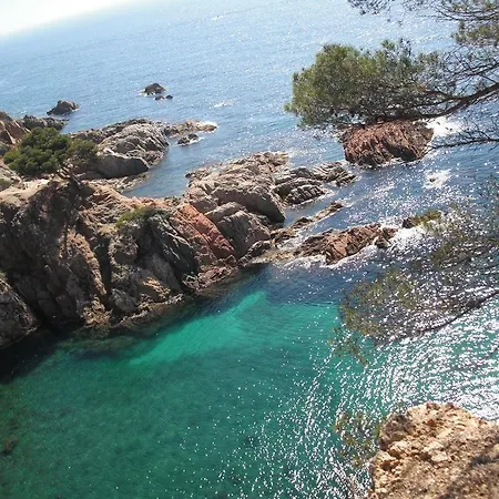 Mas Vilalonga Petit 4*