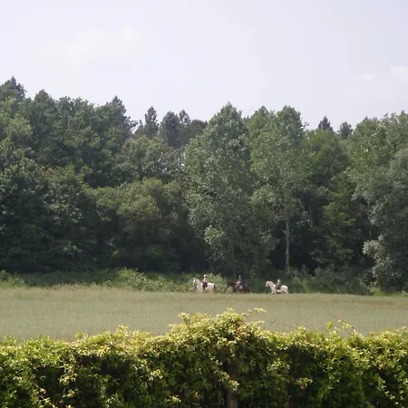 ホテル Mas Vilalonga Petit Cassà de la Selva