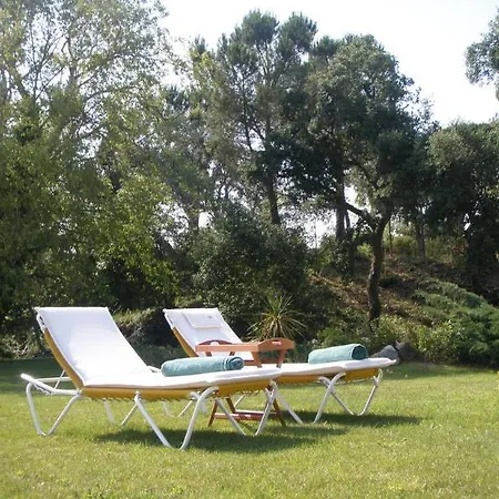 Mas Vilalonga Petit Hotel
